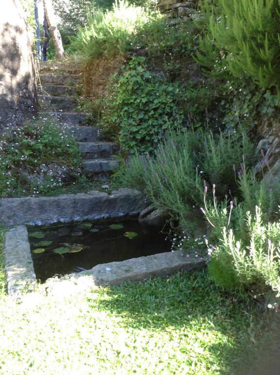 Villa SaberAmar Little Country Arouca Exterior foto